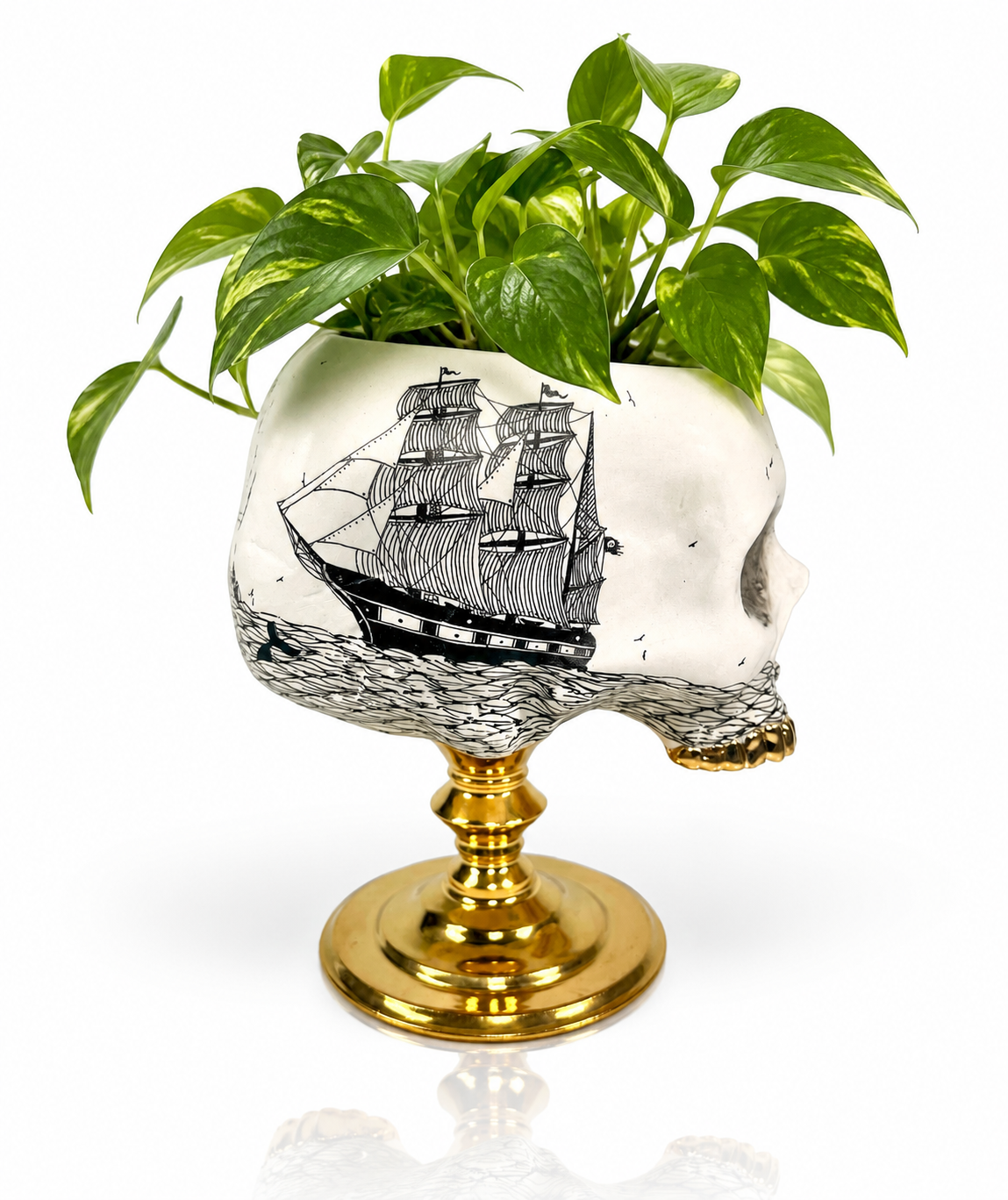 Scrimshaw Skull Planter