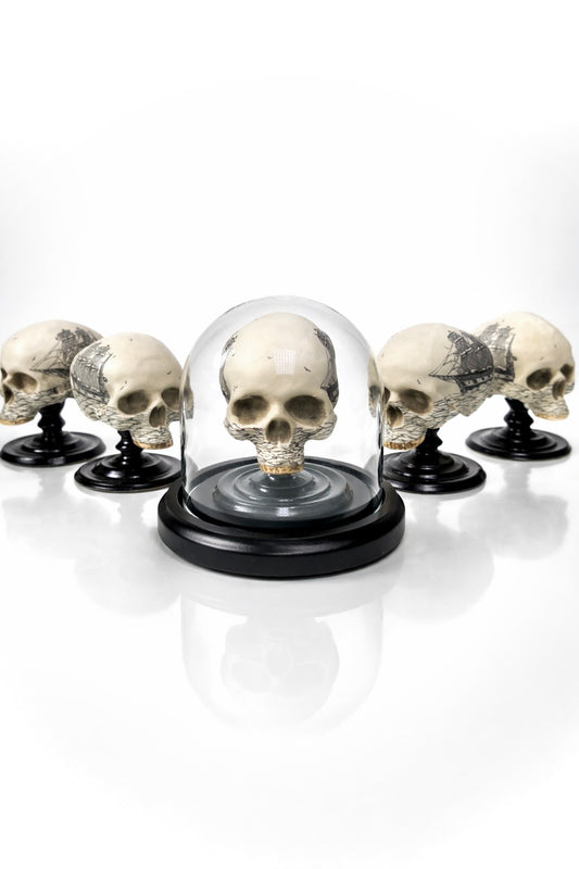 Scrimshaw Skullpture